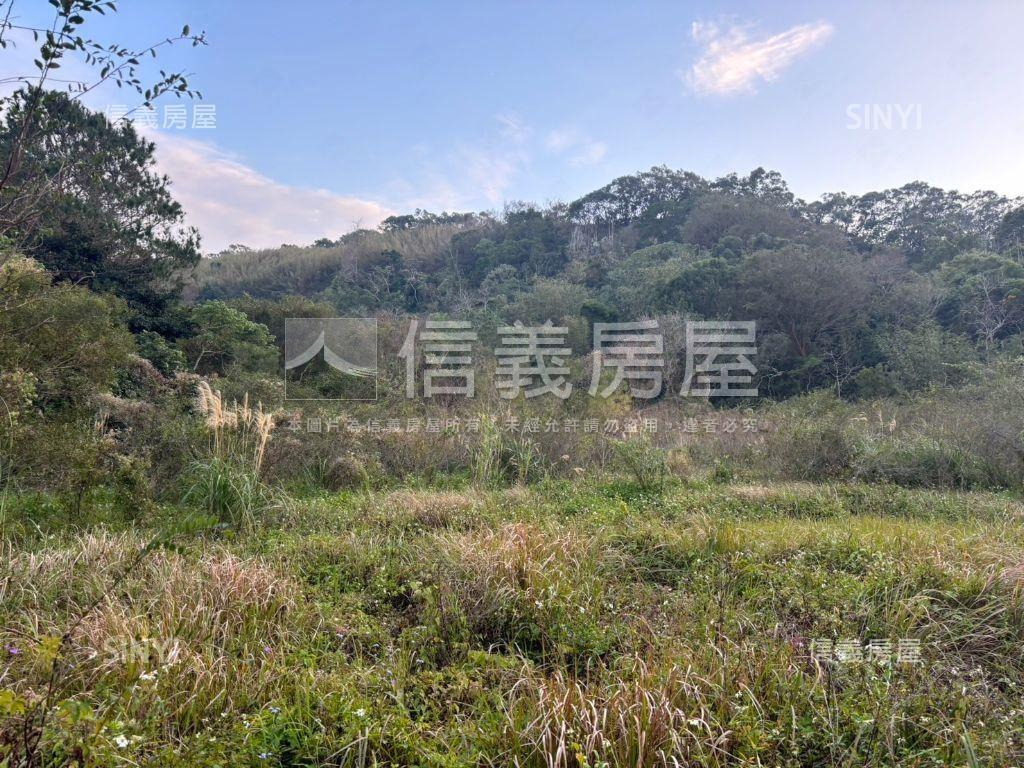 苗四六鄉道土地房屋室內格局與周邊環境