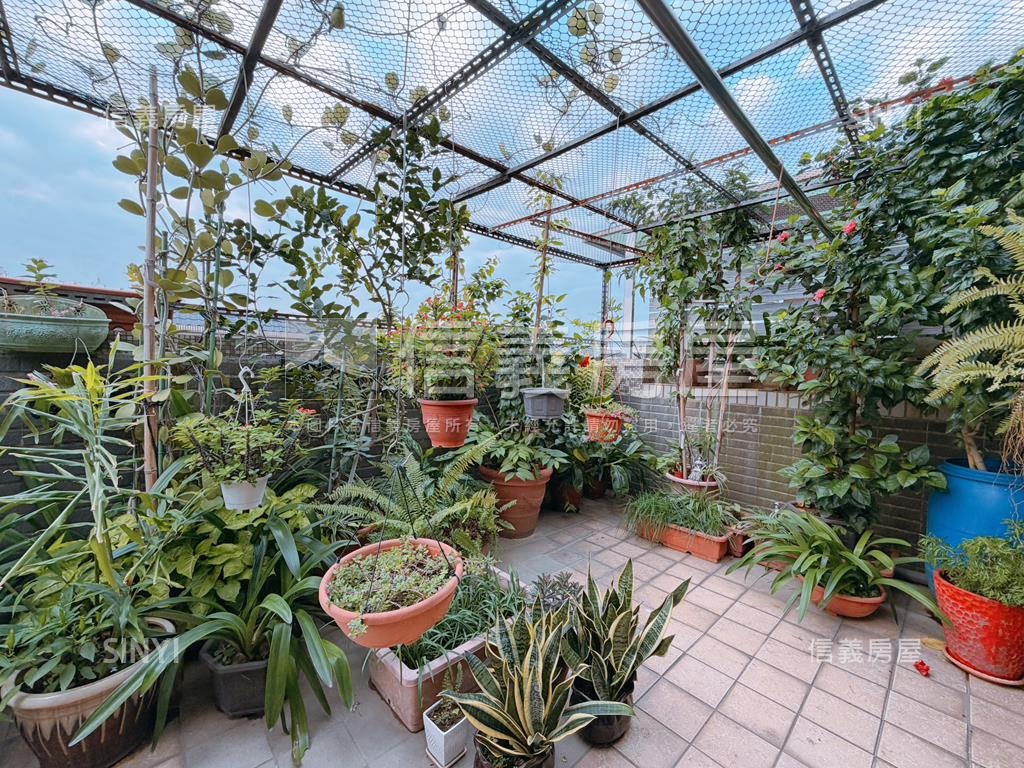 長紅計畫金鑽區透天店面房屋室內格局與周邊環境