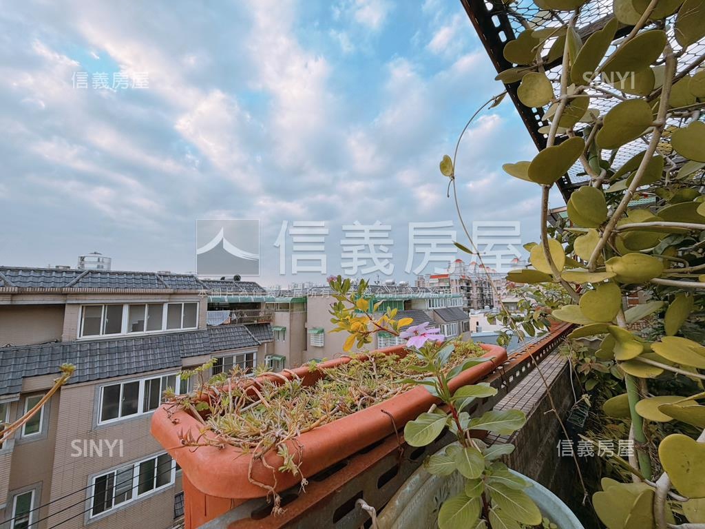 長紅計畫金鑽區透天店面房屋室內格局與周邊環境