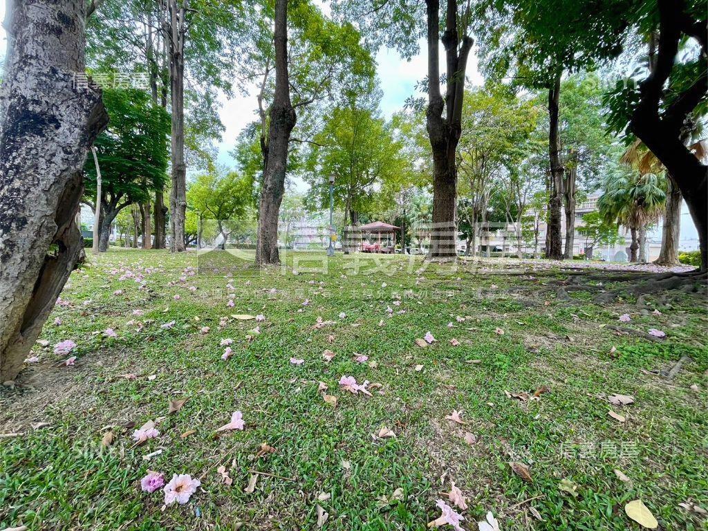 元城蘭亭苑三房平車公園景房屋室內格局與周邊環境