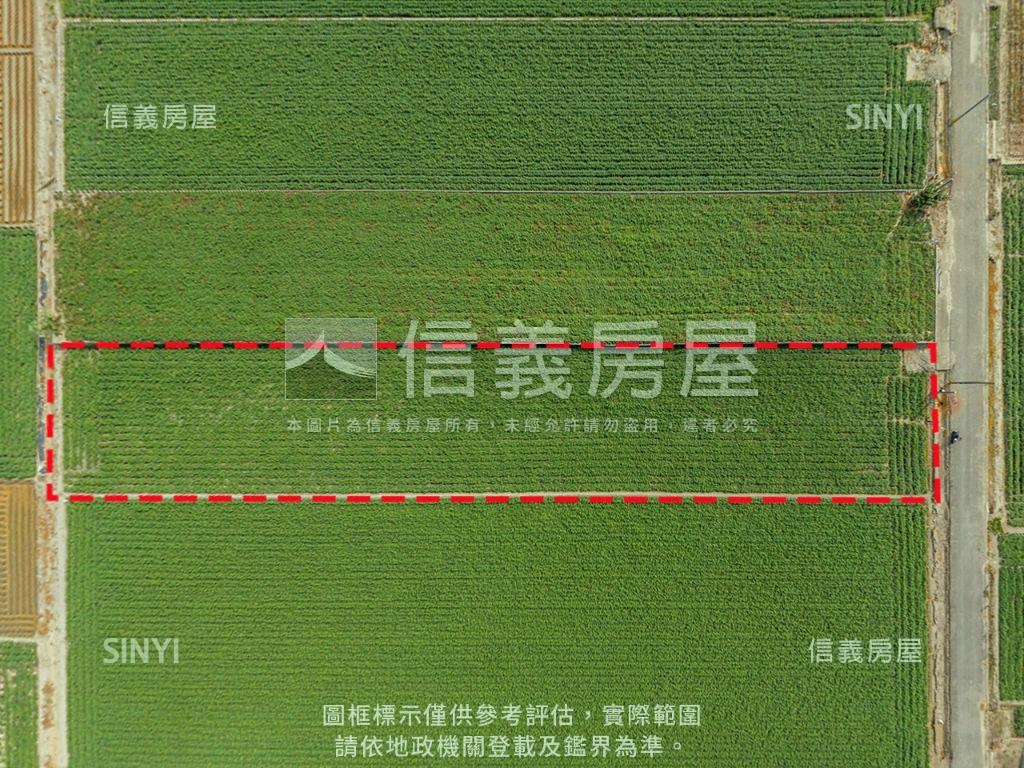 雲林⭐臨路美農地房屋室內格局與周邊環境