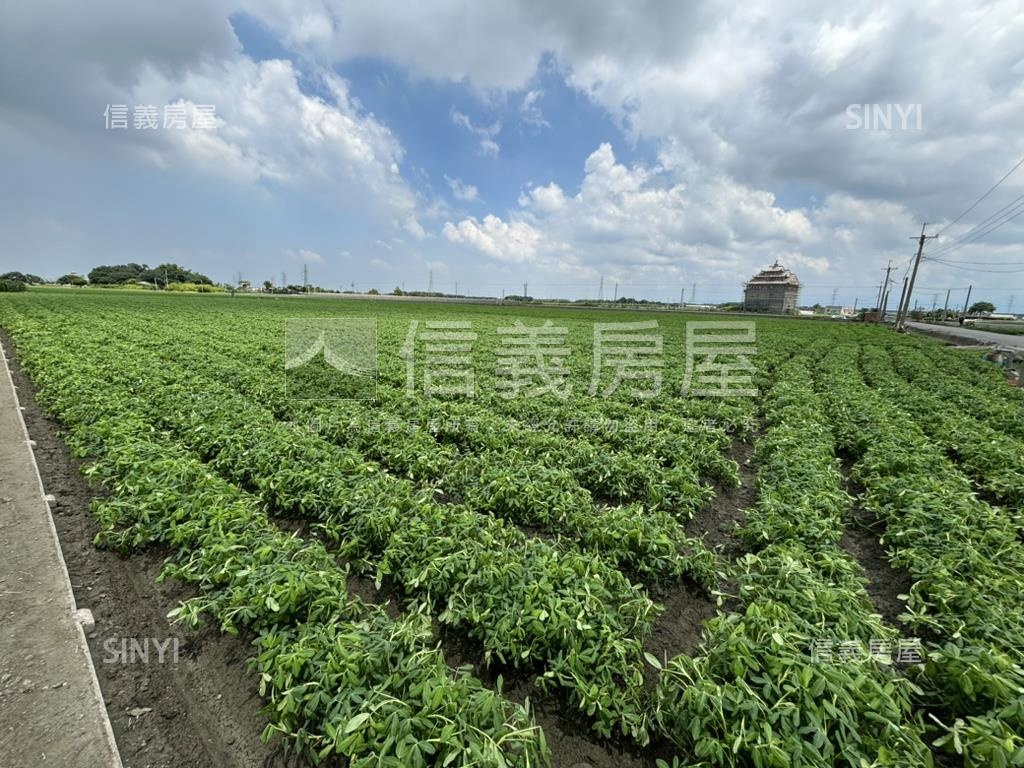 雲林⭐臨路美農地房屋室內格局與周邊環境