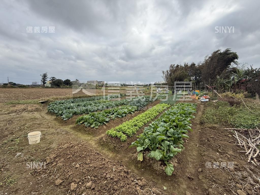 桃園中壢清幽漂亮農地房屋室內格局與周邊環境