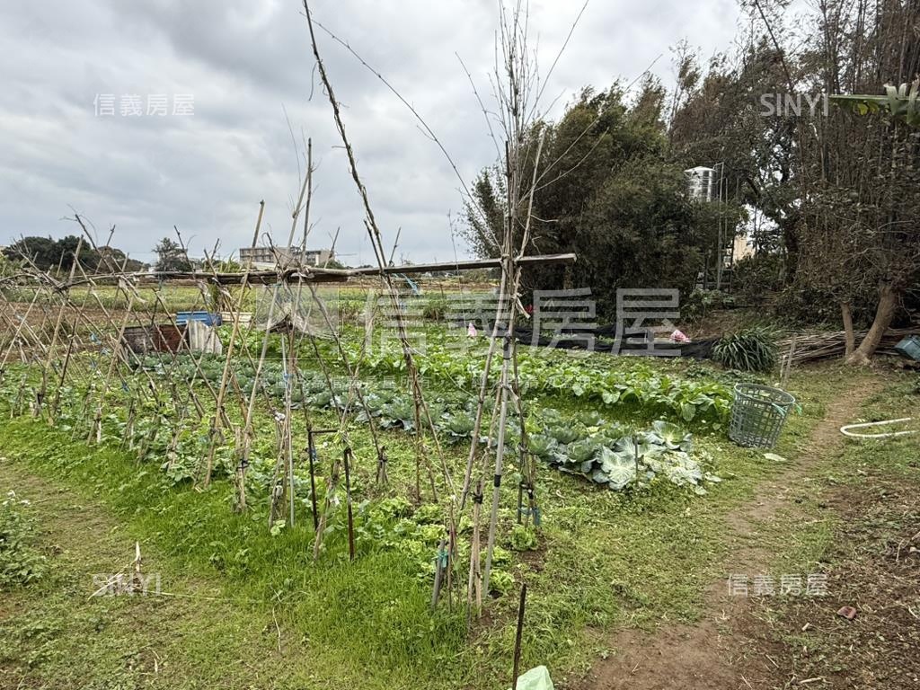 桃園中壢清幽漂亮農地房屋室內格局與周邊環境