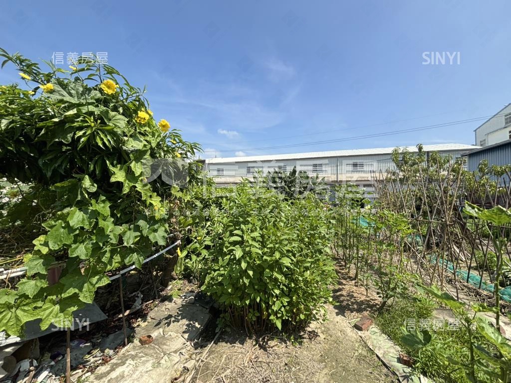 潭雅神綠園道旁都計內農地房屋室內格局與周邊環境