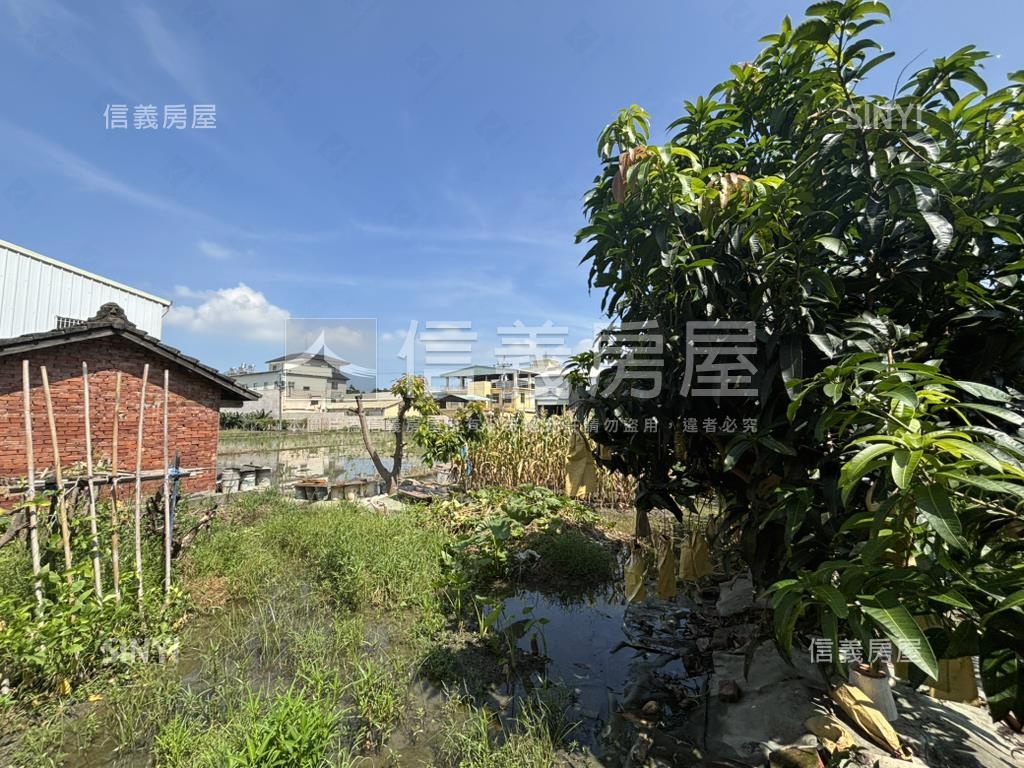 潭雅神綠園道旁都計內農地房屋室內格局與周邊環境
