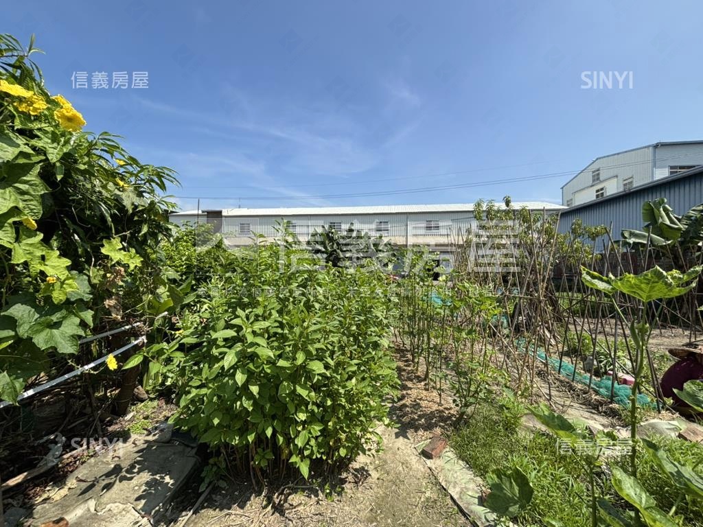 潭雅神綠園道旁都計內農地房屋室內格局與周邊環境