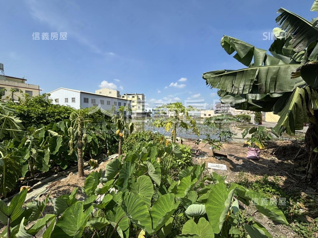潭雅神綠園道旁都計內農地房屋室內格局與周邊環境
