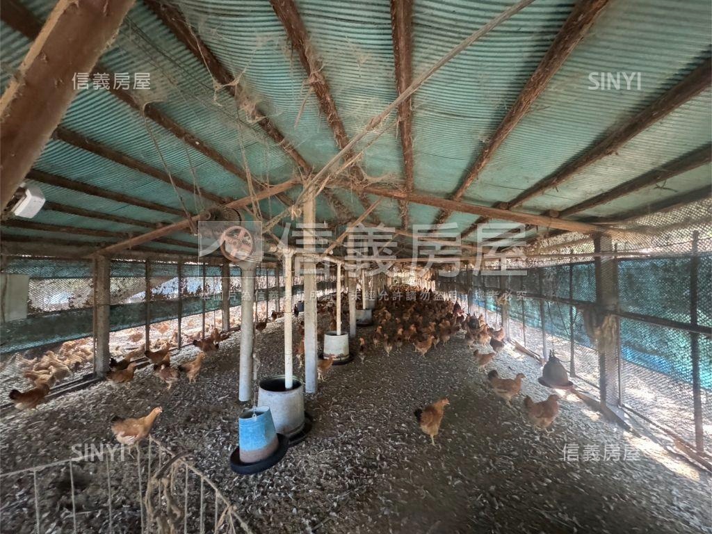 新竹新埔約４０００坪雞舍房屋室內格局與周邊環境