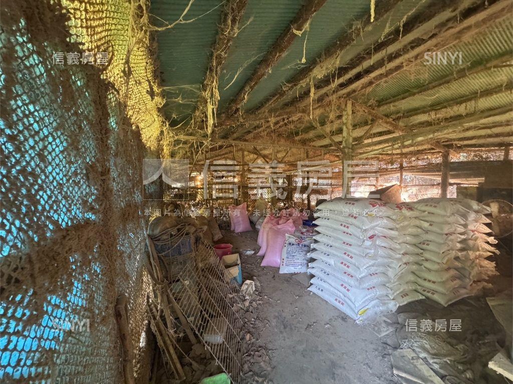 新竹新埔約４０００坪雞舍房屋室內格局與周邊環境