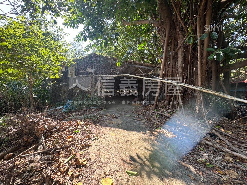 新竹新埔約４０００坪雞舍房屋室內格局與周邊環境