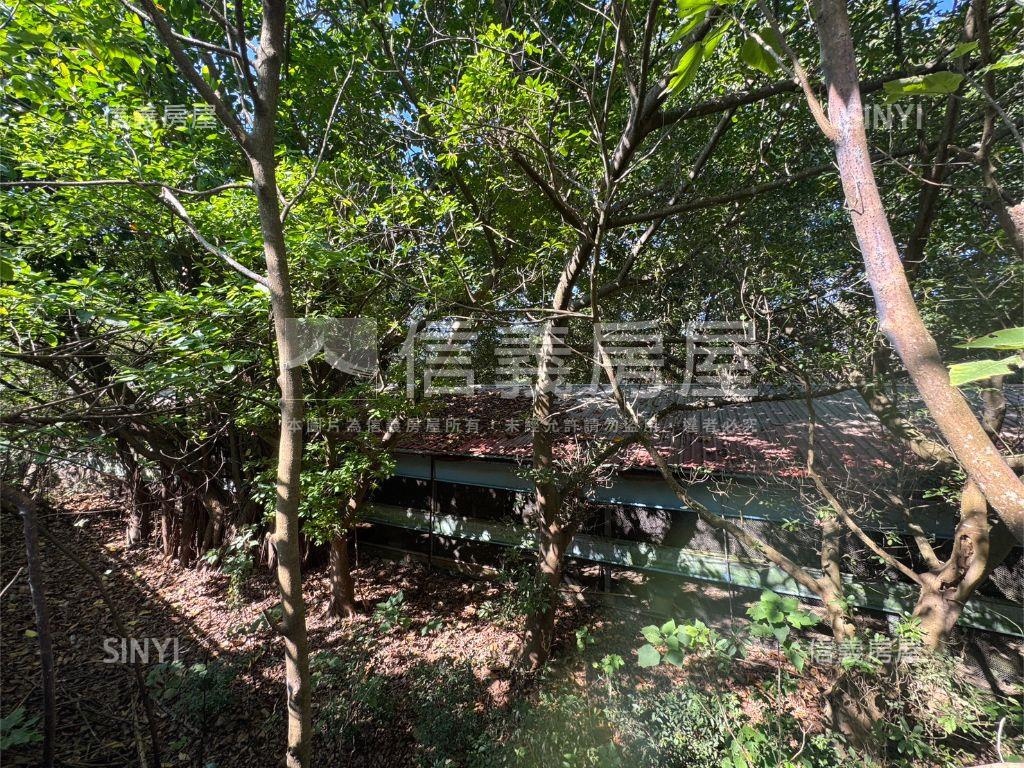 新竹新埔約４０００坪雞舍房屋室內格局與周邊環境