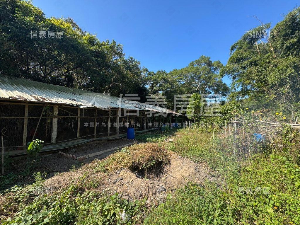 新竹新埔約４０００坪雞舍房屋室內格局與周邊環境