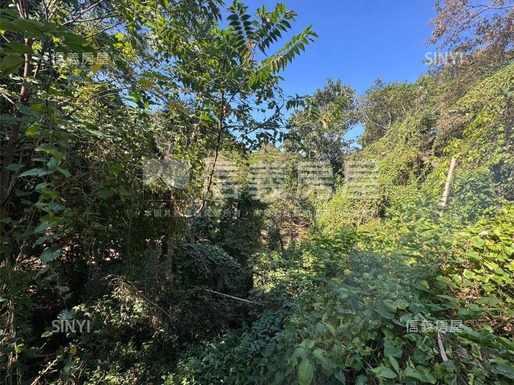 新竹新埔約４０００坪雞舍房屋室內格局與周邊環境