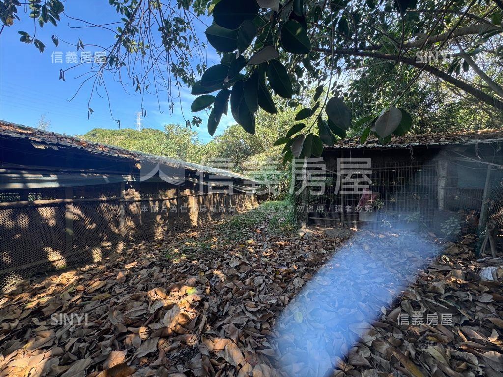 新竹新埔約４０００坪雞舍房屋室內格局與周邊環境