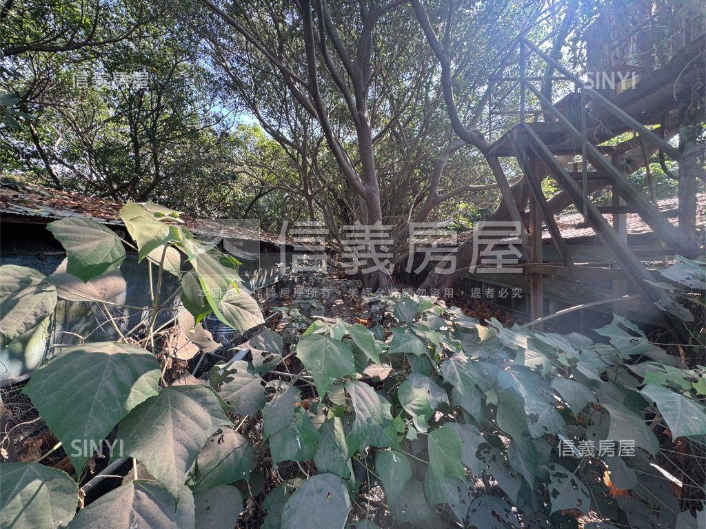 新竹新埔約４０００坪雞舍房屋室內格局與周邊環境