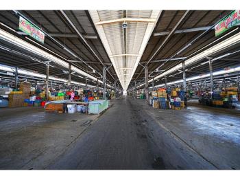 蘆洲北側２７５坪重劃土地