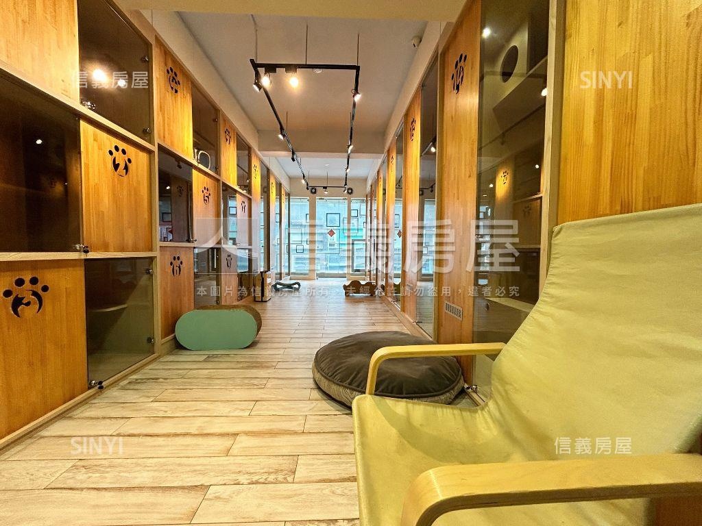 貓咪天堂！絕美忠勤街透天房屋室內格局與周邊環境