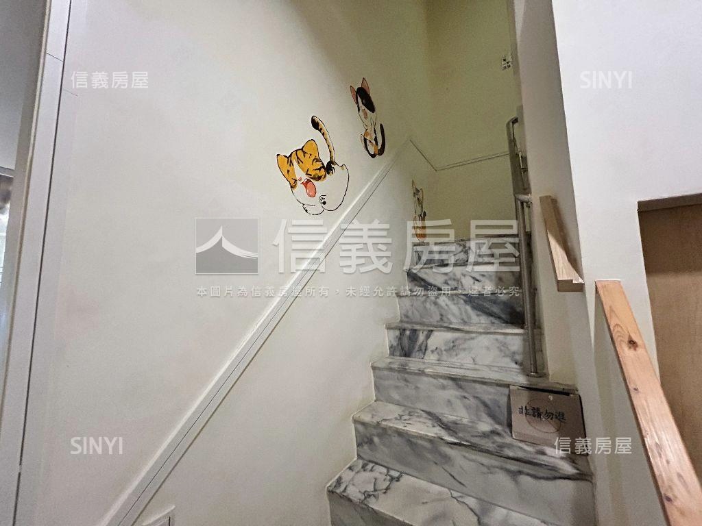 貓咪天堂！絕美忠勤街透天房屋室內格局與周邊環境