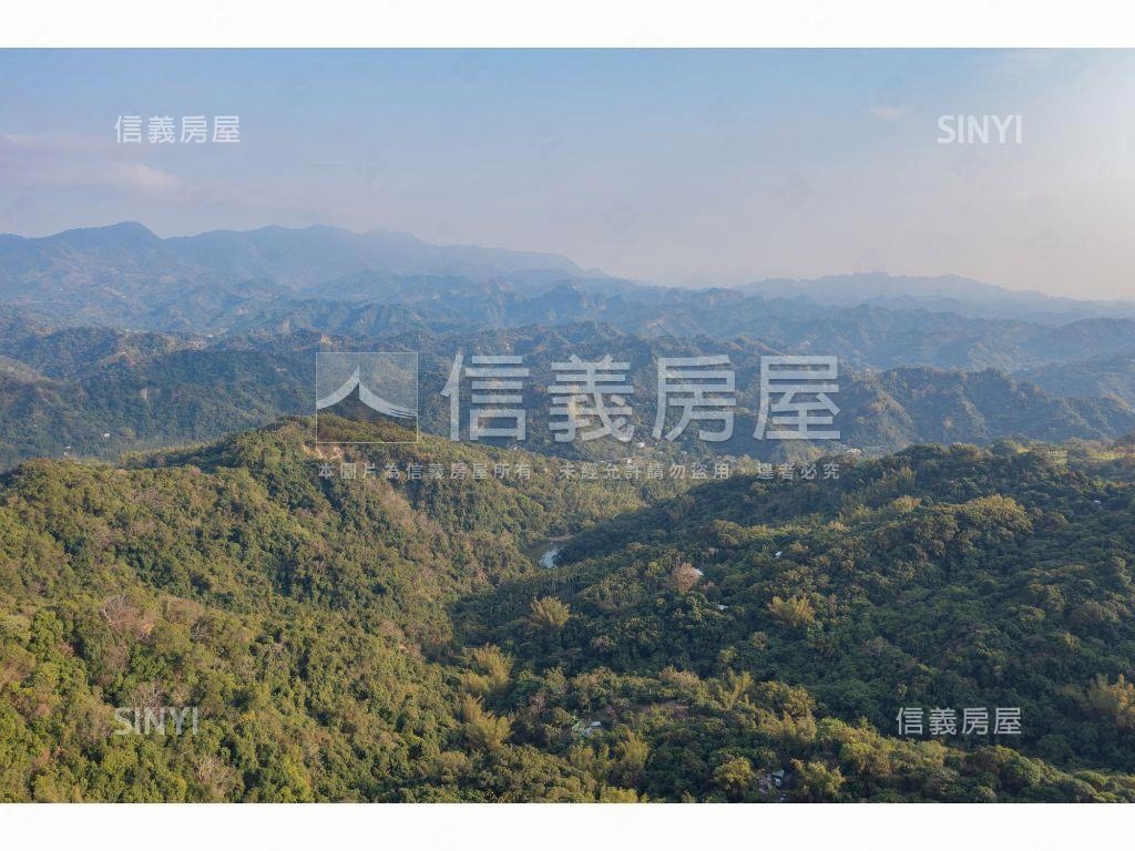 太平千坪荔枝園房屋室內格局與周邊環境