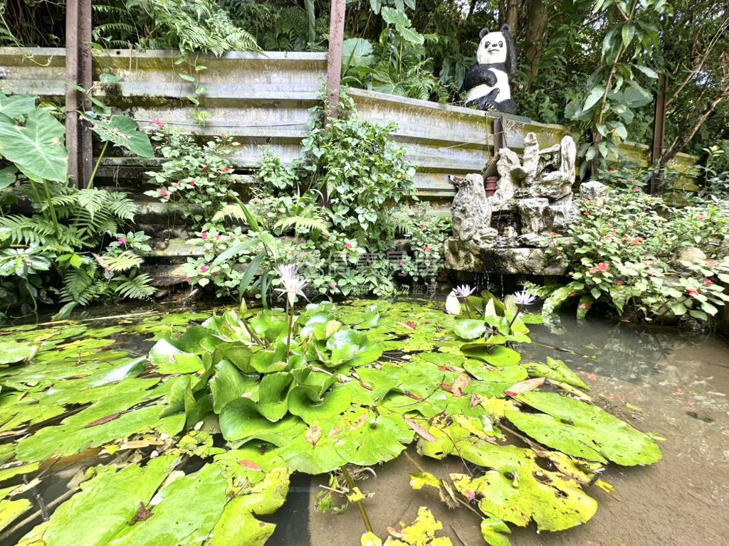 稀有釋出泰山自強段土地房屋室內格局與周邊環境