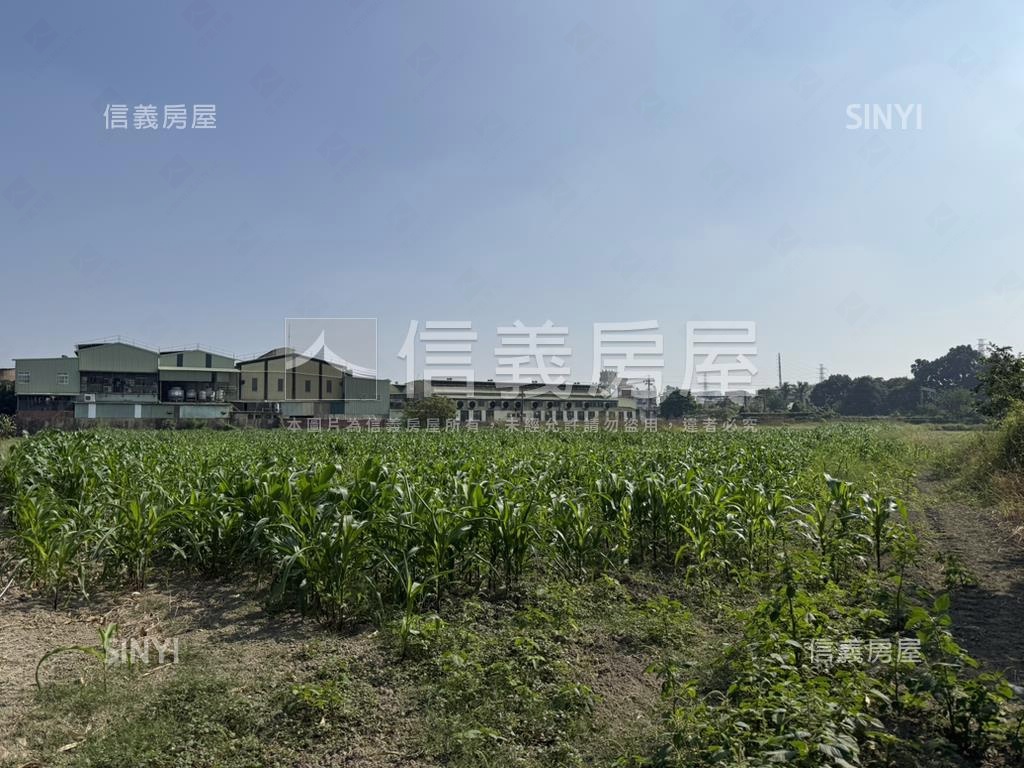 新市富強段｜千坪潛力農地房屋室內格局與周邊環境