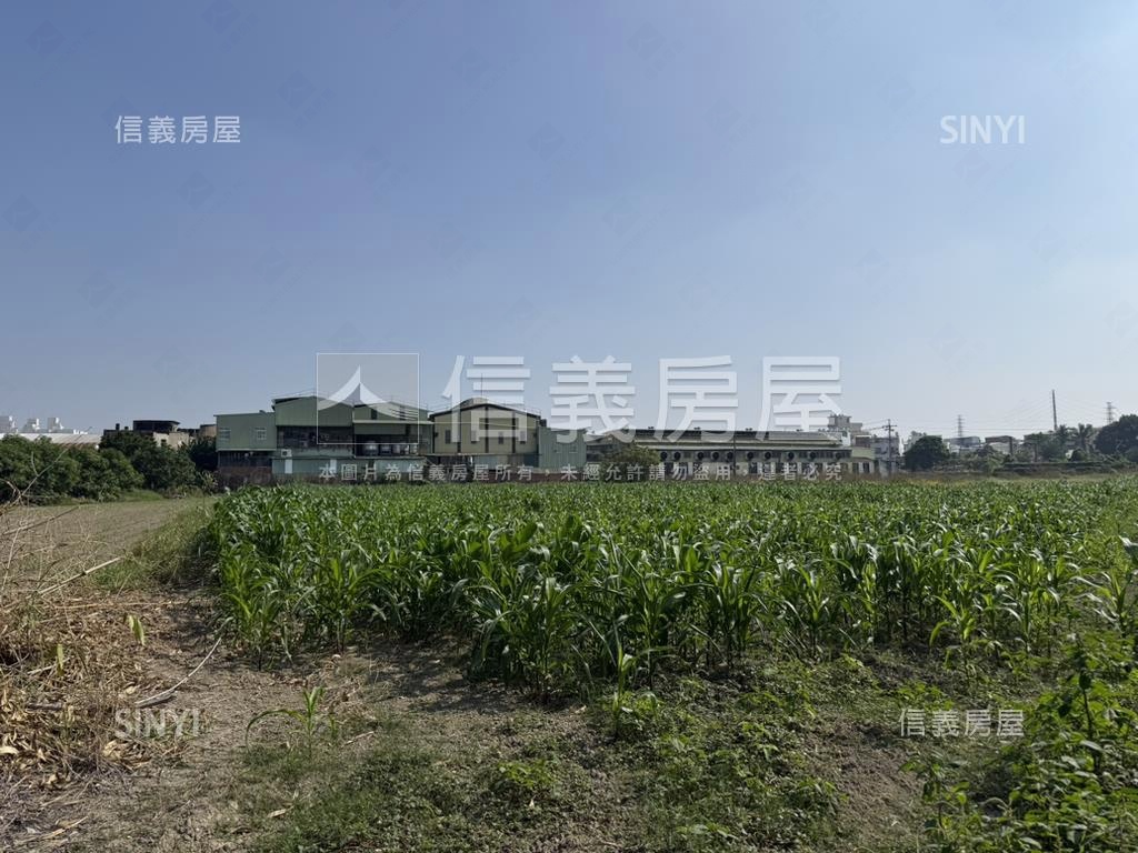 新市富強段｜千坪潛力農地房屋室內格局與周邊環境