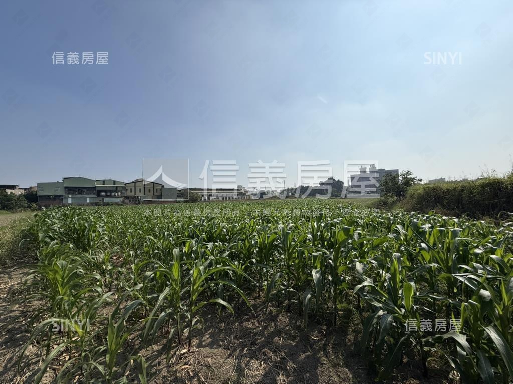 新市富強段｜千坪潛力農地房屋室內格局與周邊環境