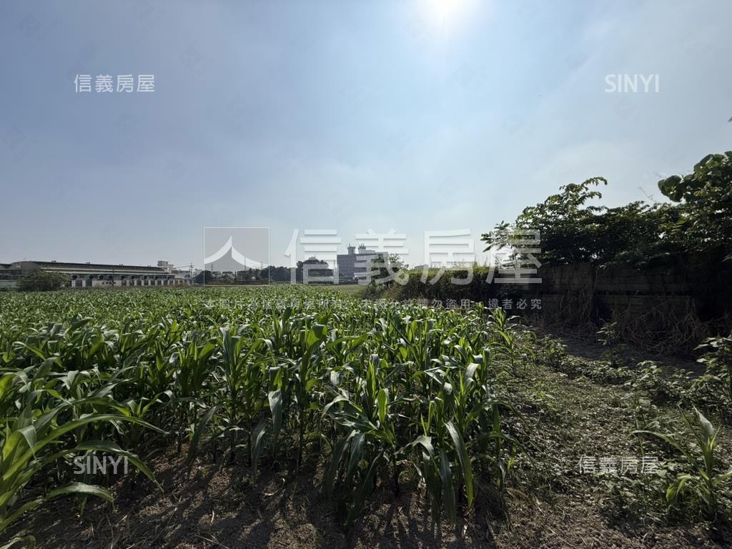 新市富強段｜千坪潛力農地房屋室內格局與周邊環境