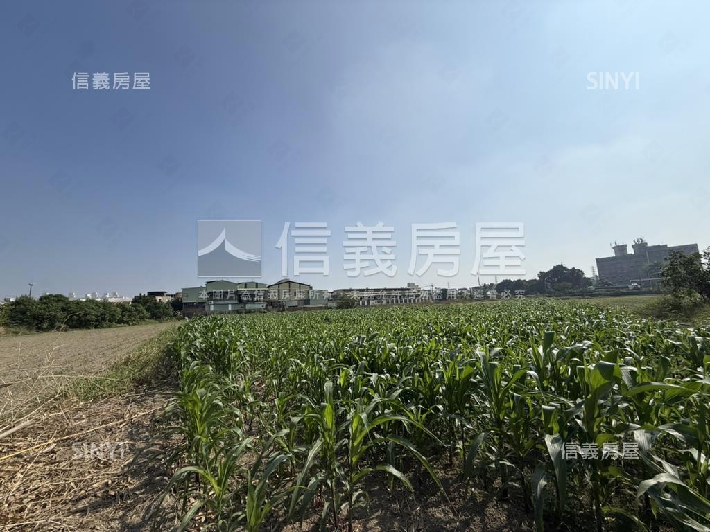 新市富強段｜千坪潛力農地房屋室內格局與周邊環境