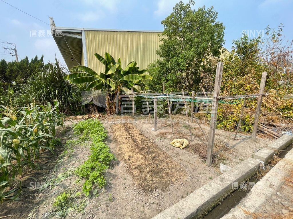 安和路農地Ｂ房屋室內格局與周邊環境