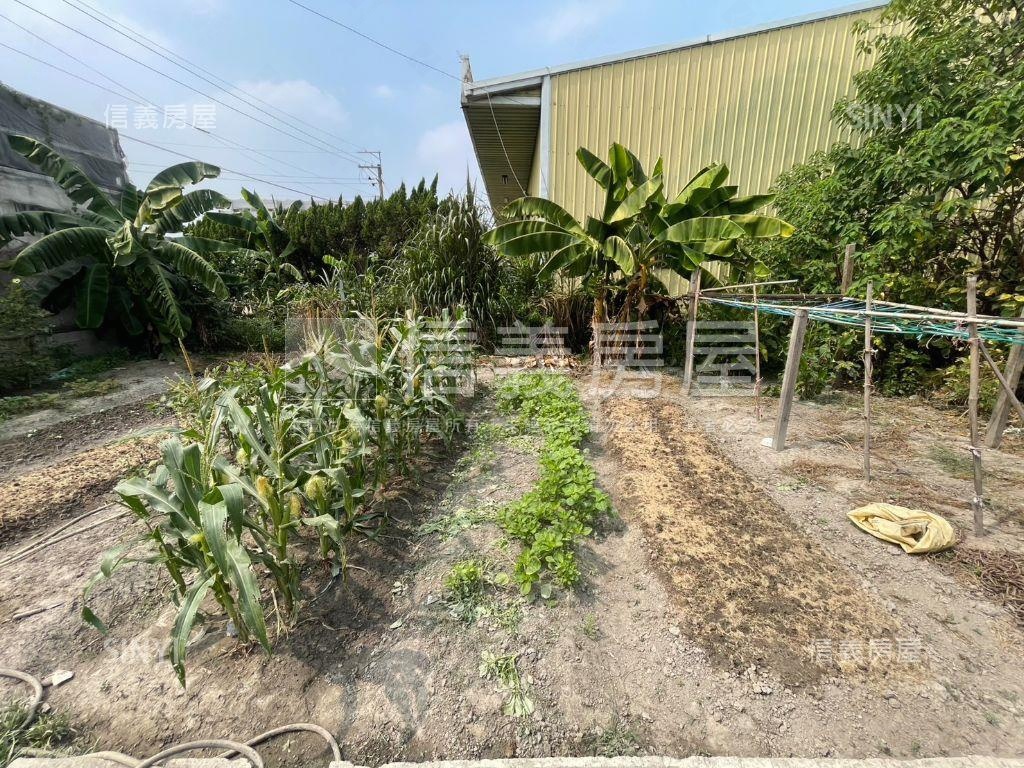 安和路農地Ｂ房屋室內格局與周邊環境