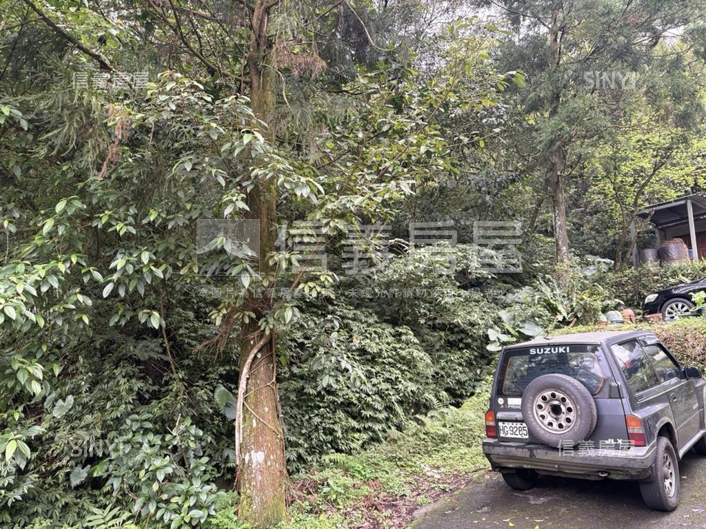 石碇龜穴寶地房屋室內格局與周邊環境