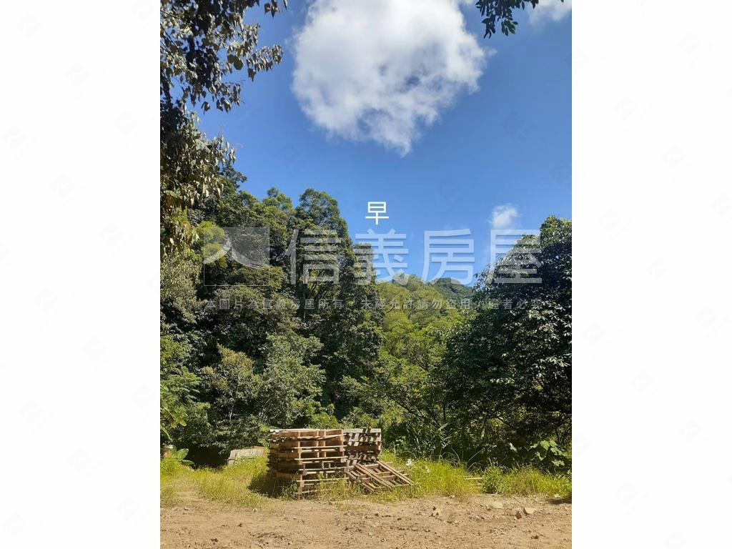 石碇龜穴寶地房屋室內格局與周邊環境