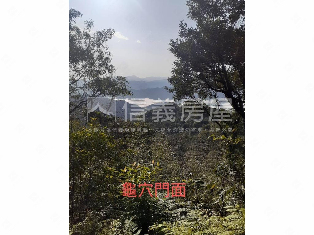 石碇龜穴寶地房屋室內格局與周邊環境