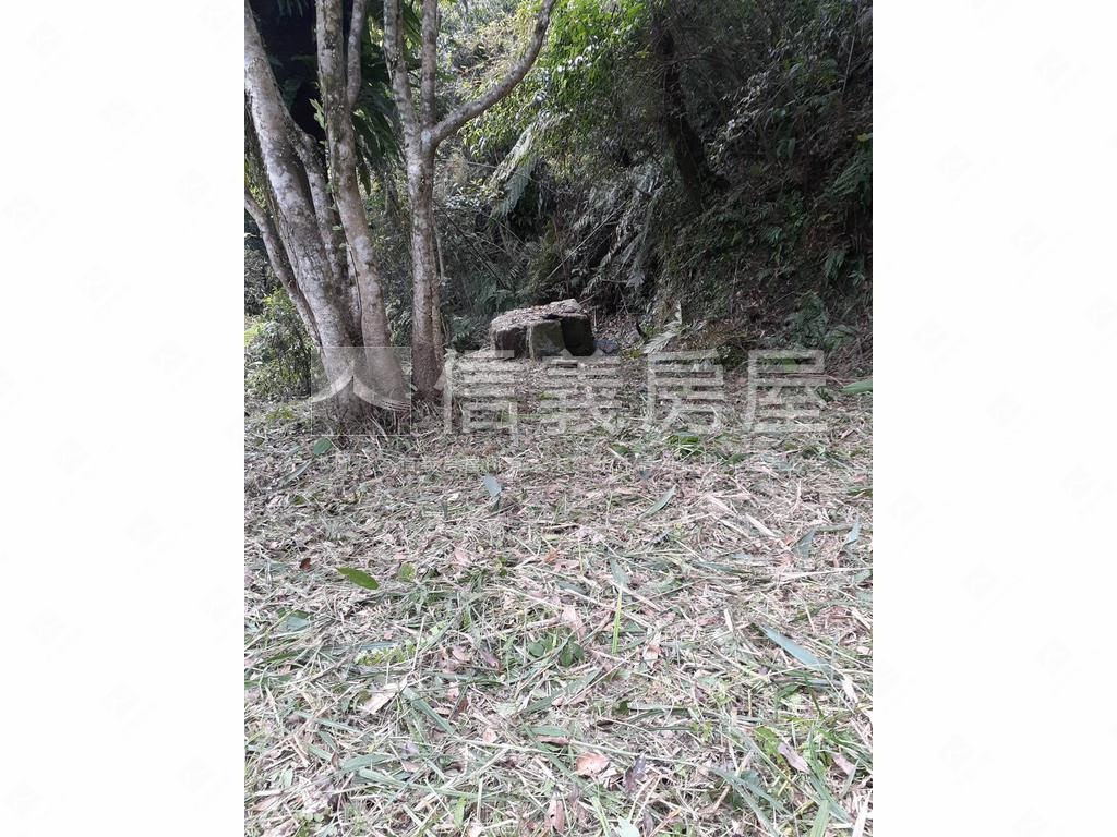石碇龜穴寶地房屋室內格局與周邊環境