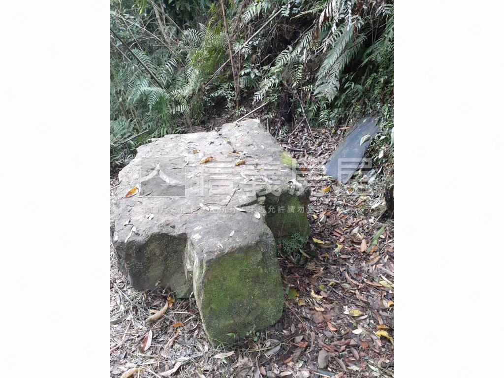 石碇龜穴寶地房屋室內格局與周邊環境