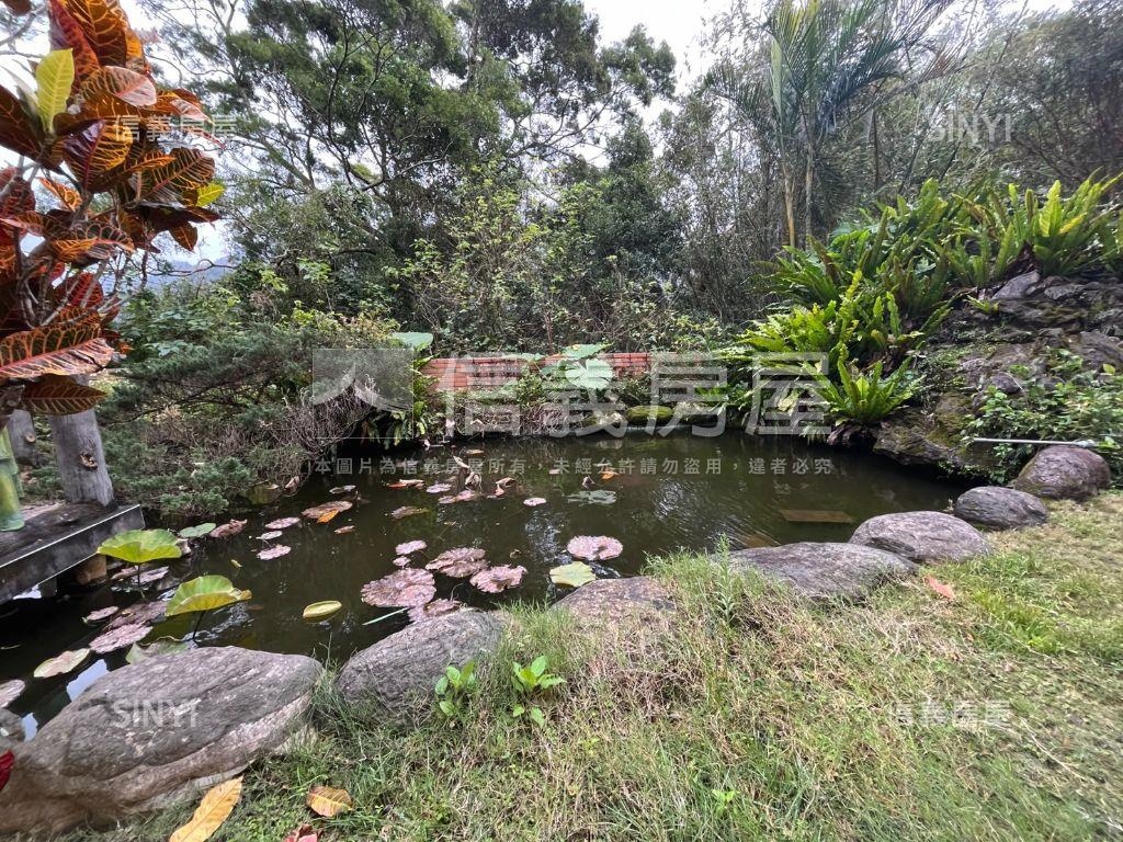 大溪【鄉根原】渡假透天房屋室內格局與周邊環境