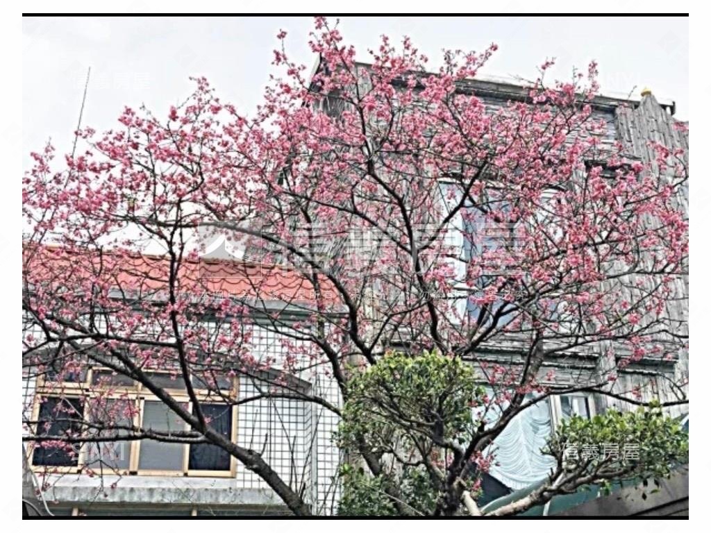 台北小別墅●透天庭院房屋室內格局與周邊環境