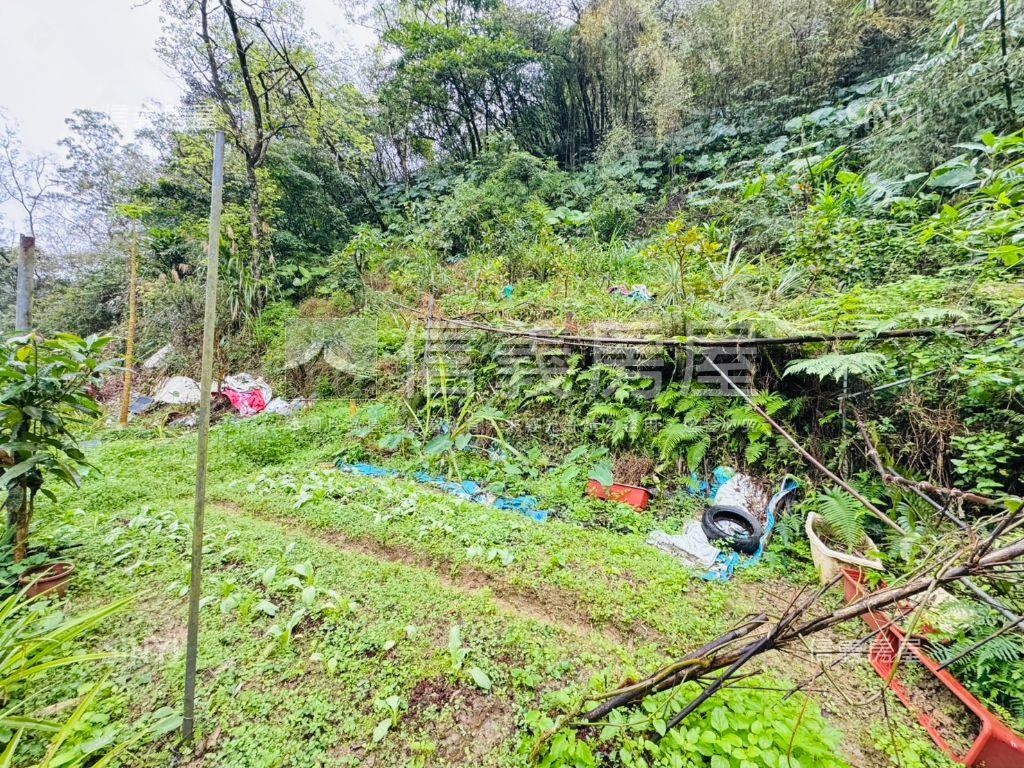 悠活●恬靜●百坪逾農地房屋室內格局與周邊環境