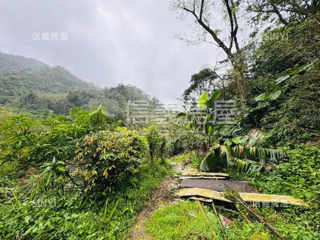 悠活●恬靜●百坪逾農地房屋室內格局與周邊環境