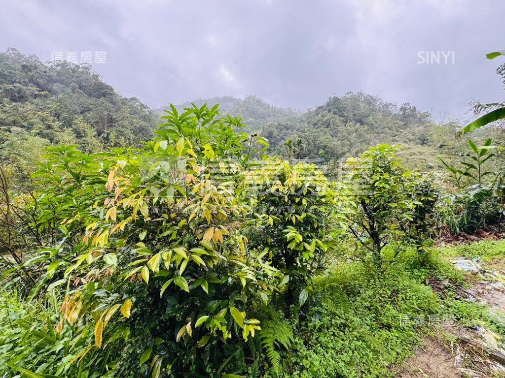 悠活●恬靜●百坪逾農地房屋室內格局與周邊環境