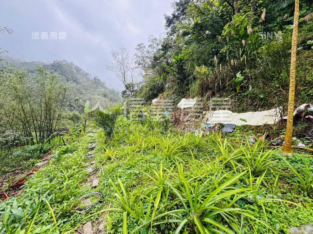 悠活●恬靜●百坪逾農地房屋室內格局與周邊環境