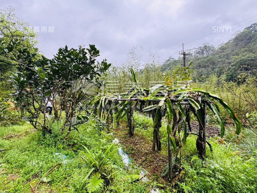 悠活●恬靜●百坪逾農地房屋室內格局與周邊環境