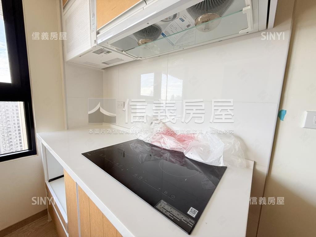 市政愛悅朝南極美高樓房屋室內格局與周邊環境