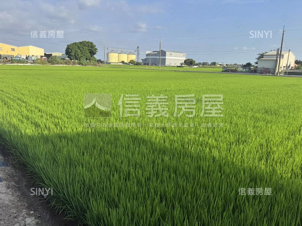 六甲漂亮農地房屋室內格局與周邊環境