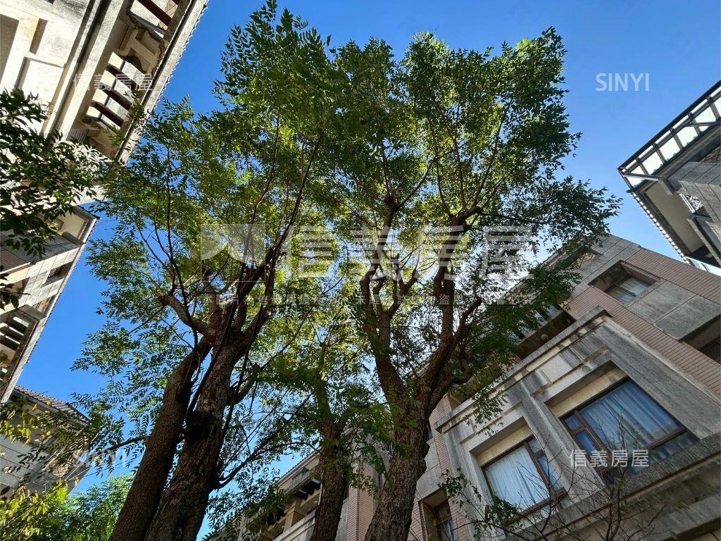 中大拾翠別墅房屋室內格局與周邊環境