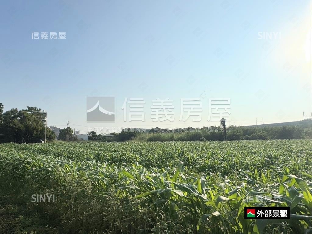 台南新市區富強段土地房屋室內格局與周邊環境