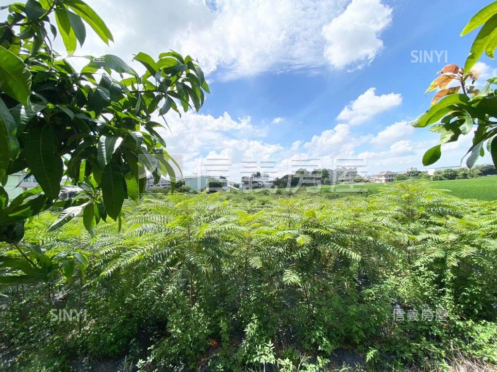 大雅『神林路農地』房屋室內格局與周邊環境