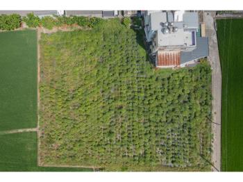 大雅『神林路農地』